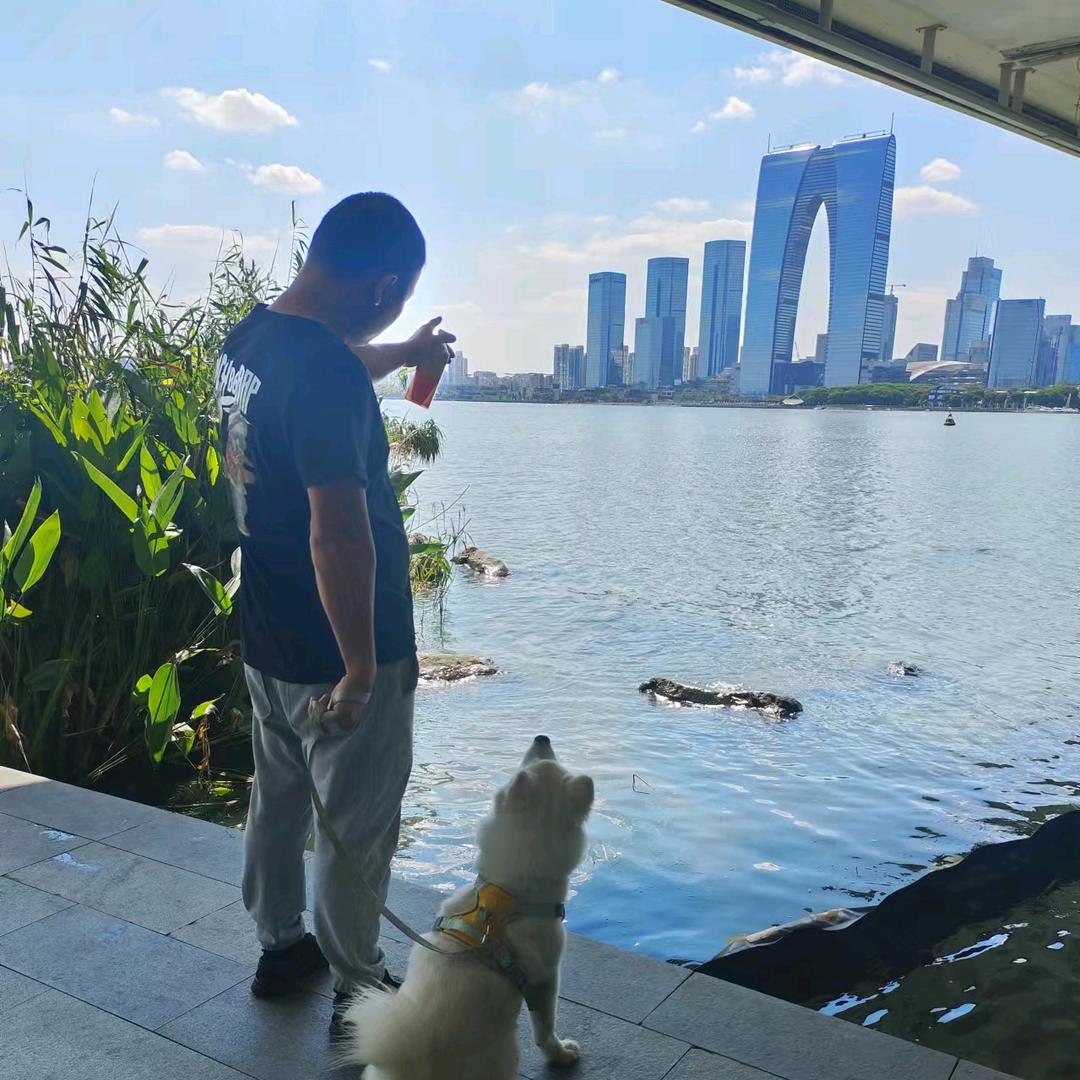 @金召（摆地摊）