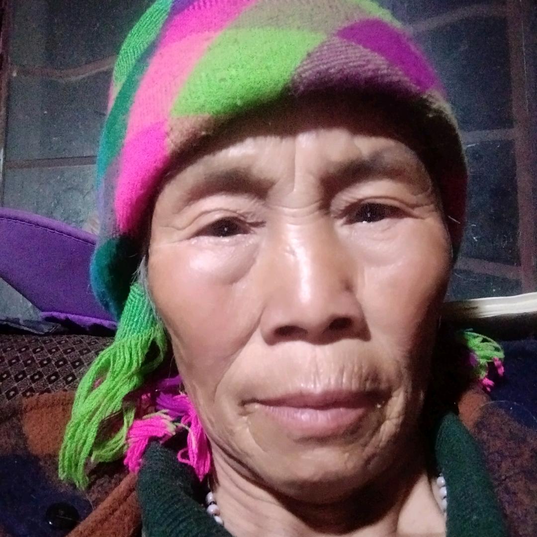 陆七奶奶七点半开播