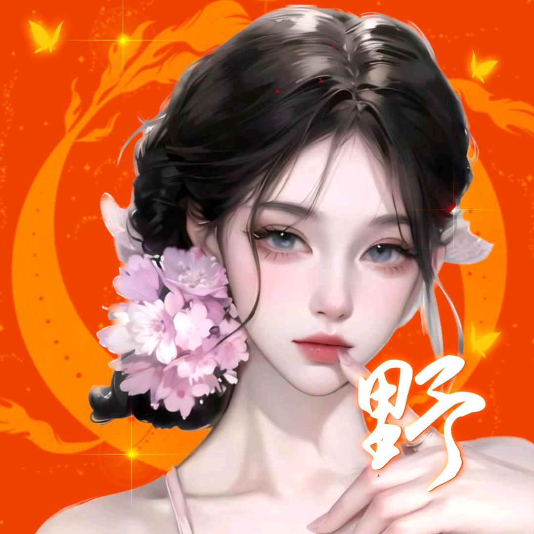 不是淑女