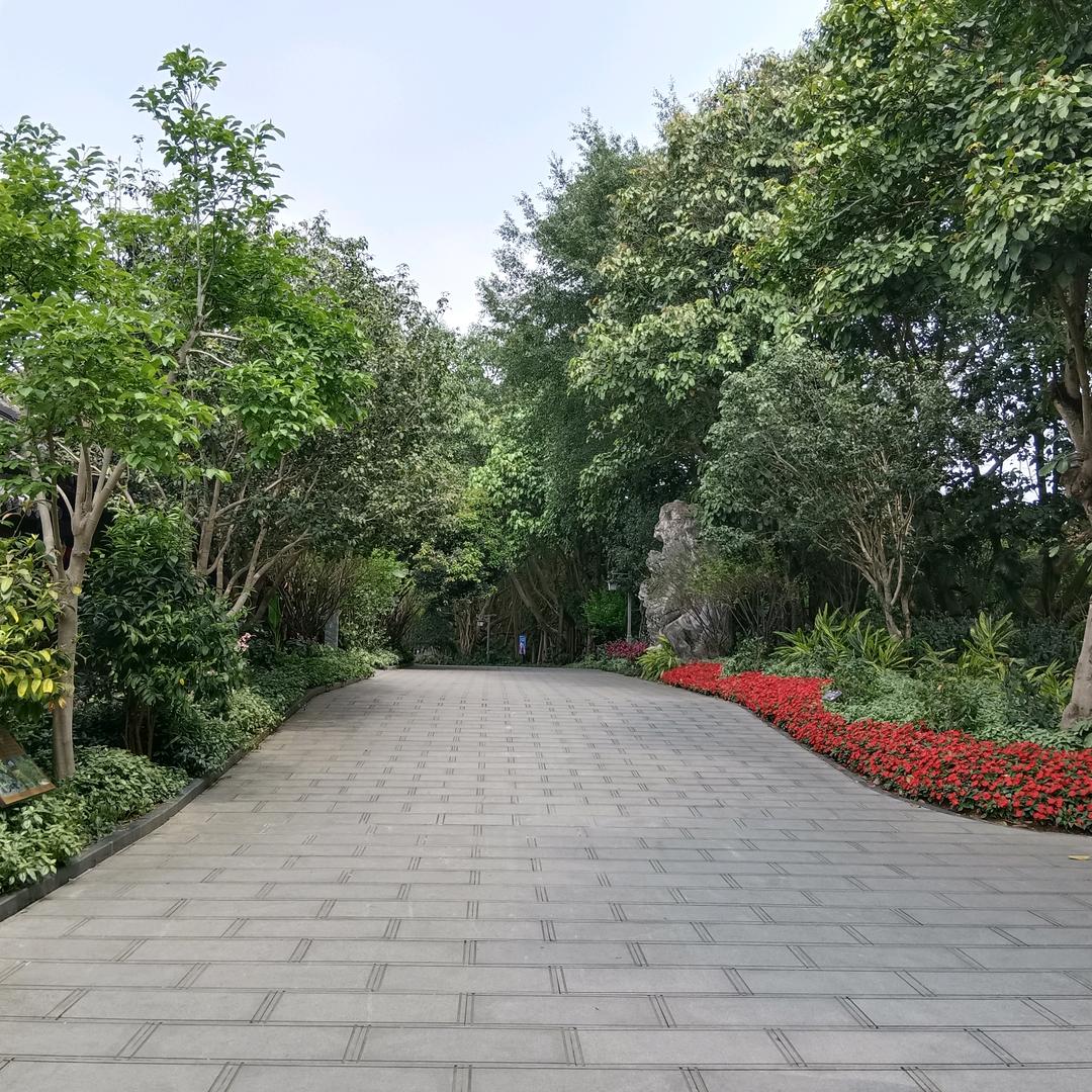 半梦 半醒 半糊涂，