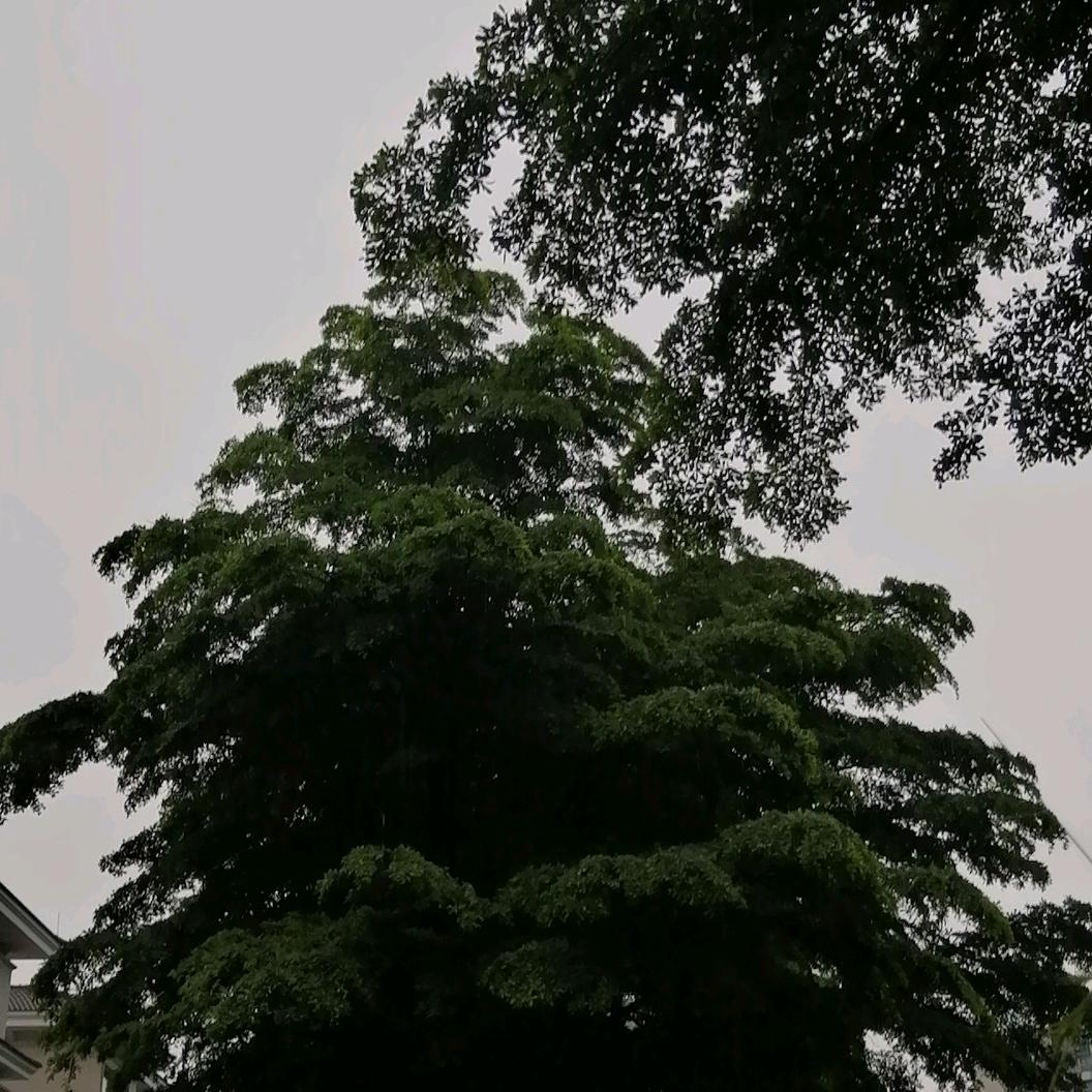 小陆学长