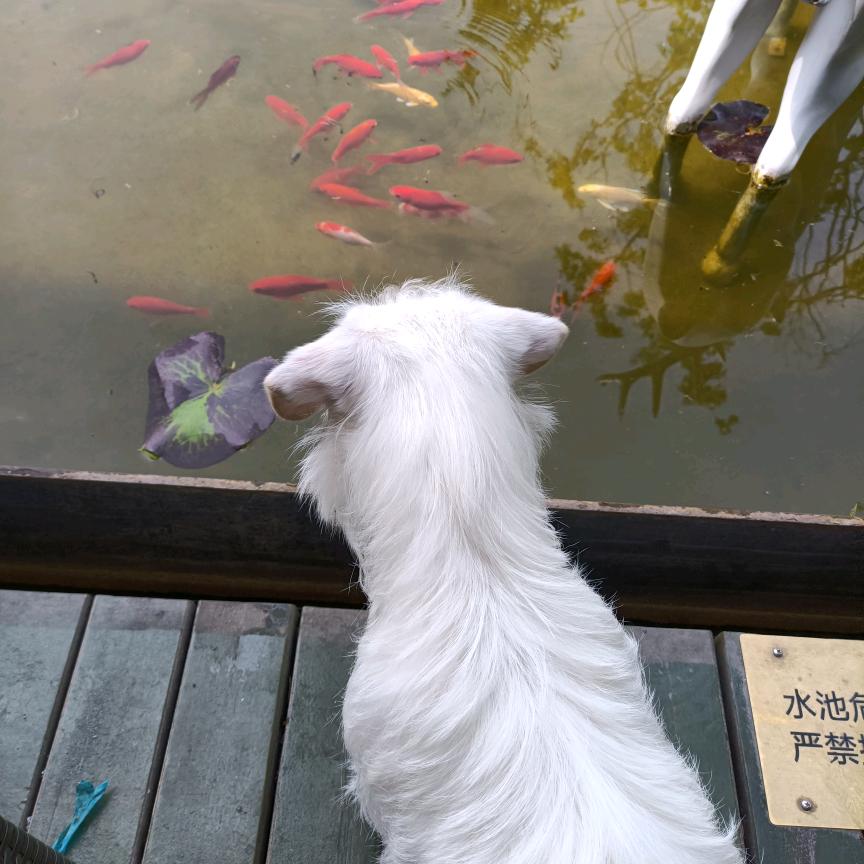 未~来~可~期~🍎