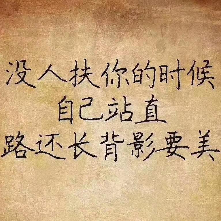 女巫的黑猫猫