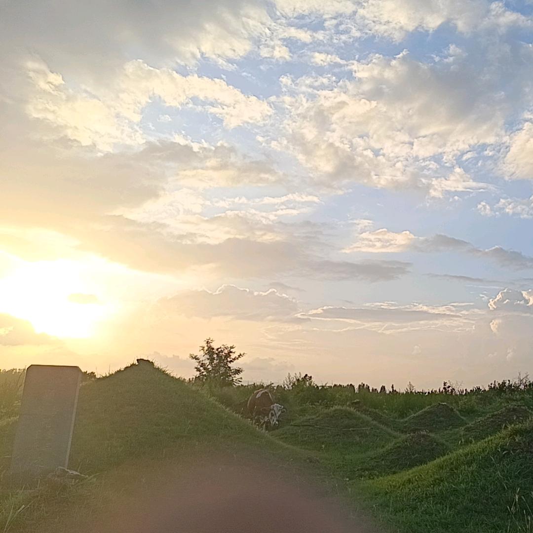 期待天降横财
