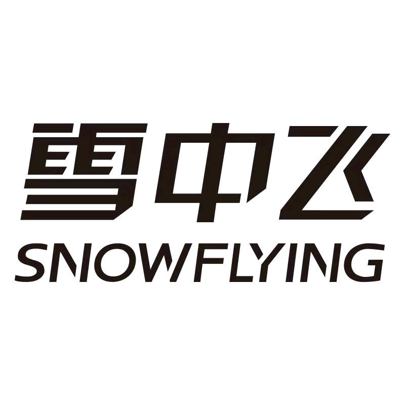 雪中飞女装服饰旗舰店