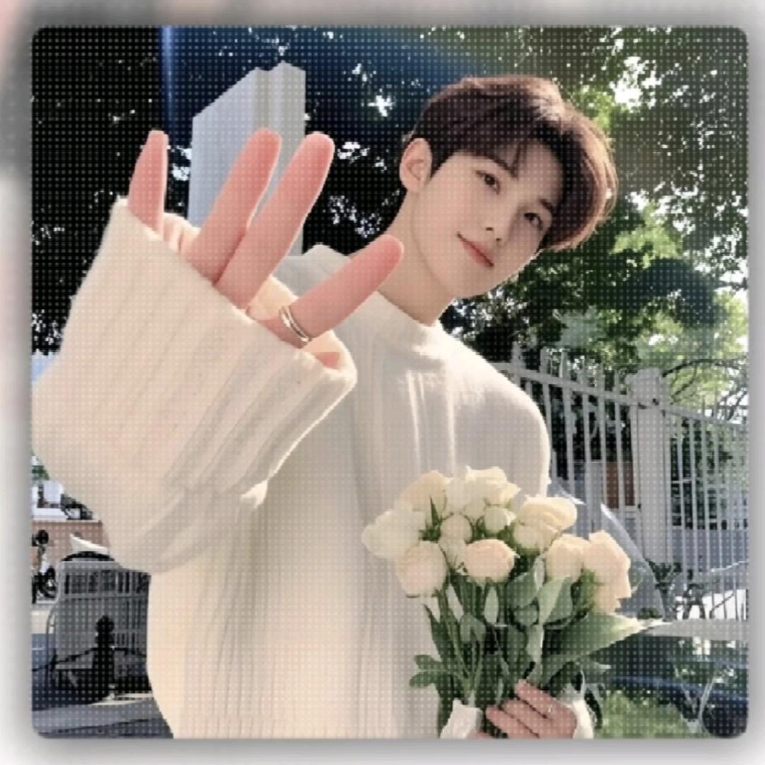 林林🌸༯༠