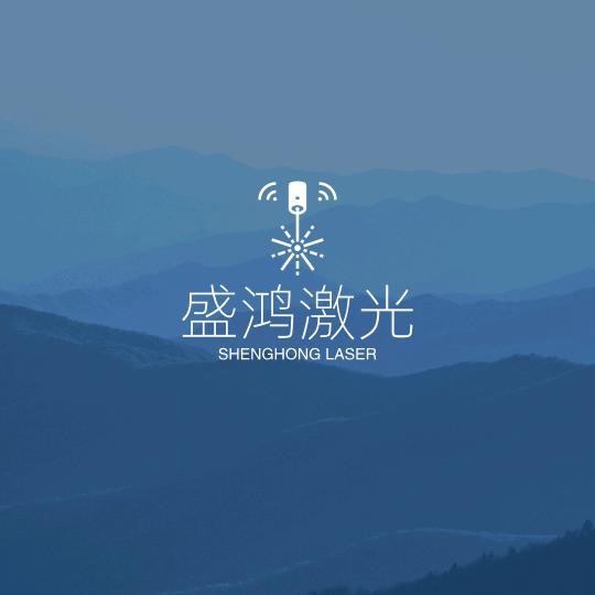 盛鸿激光配件厂家