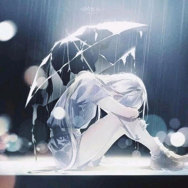 探宝儿