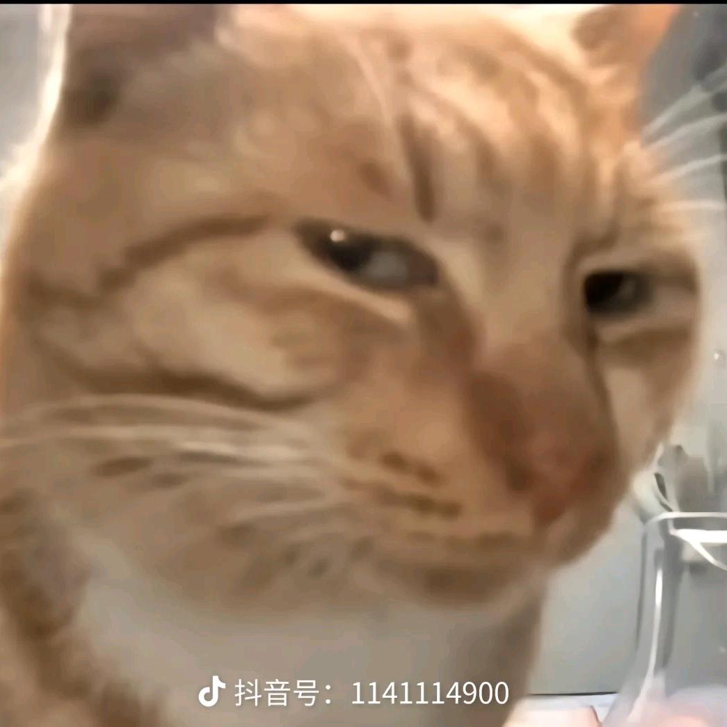 原装冤种