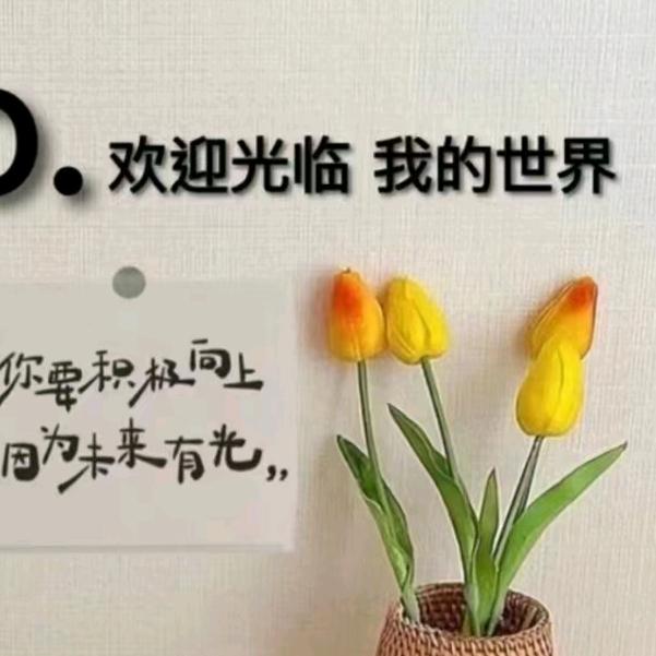 小步优选