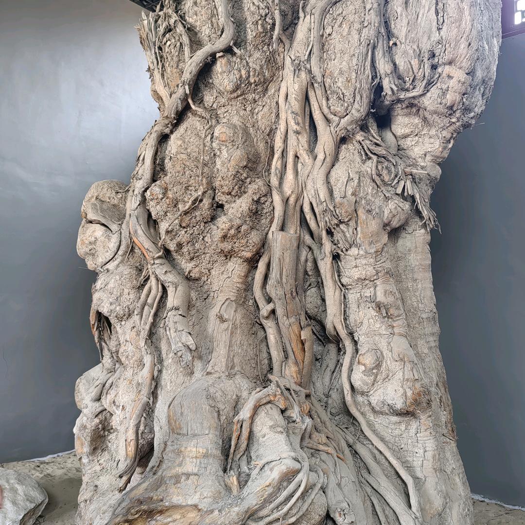 巅峰：极限