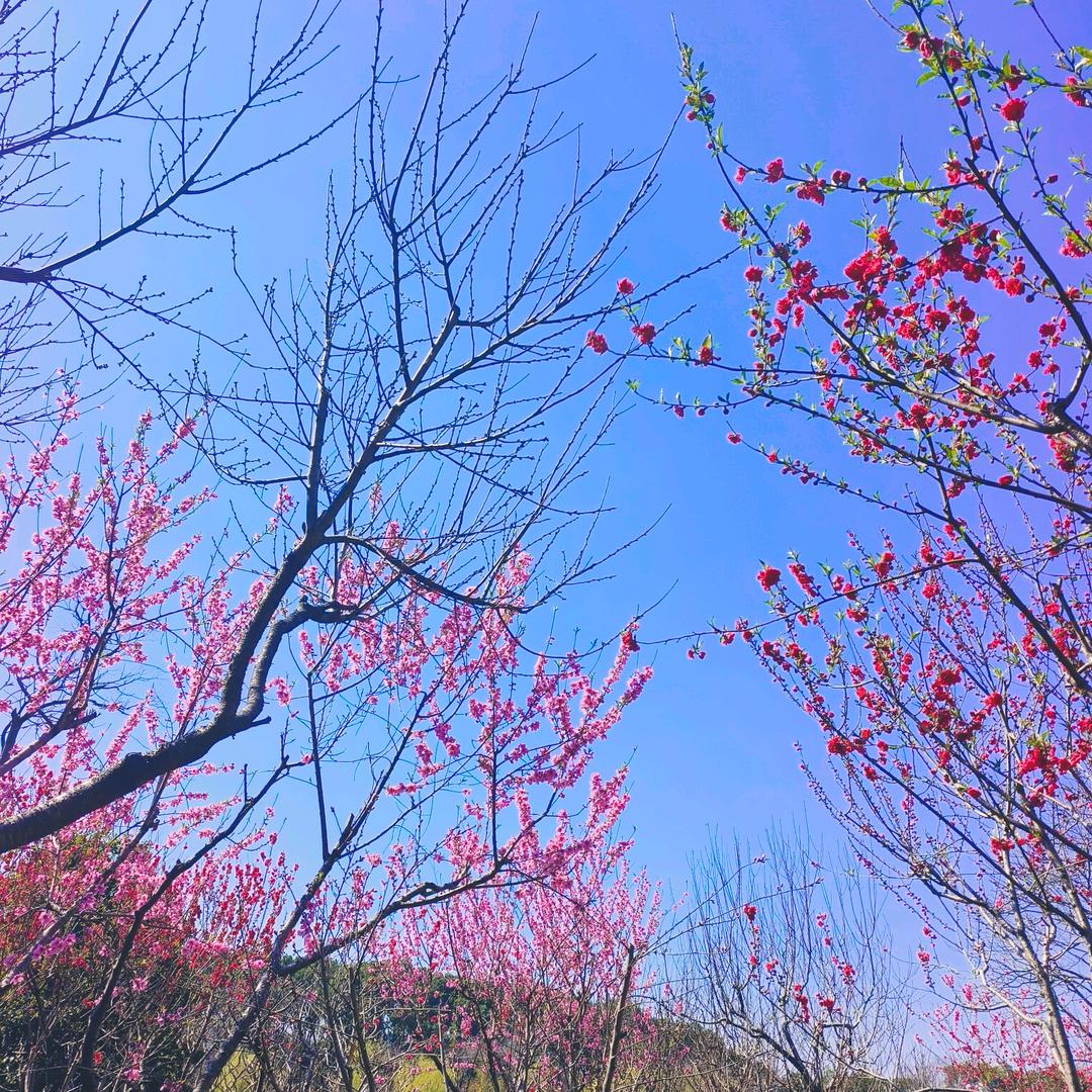 源远流长