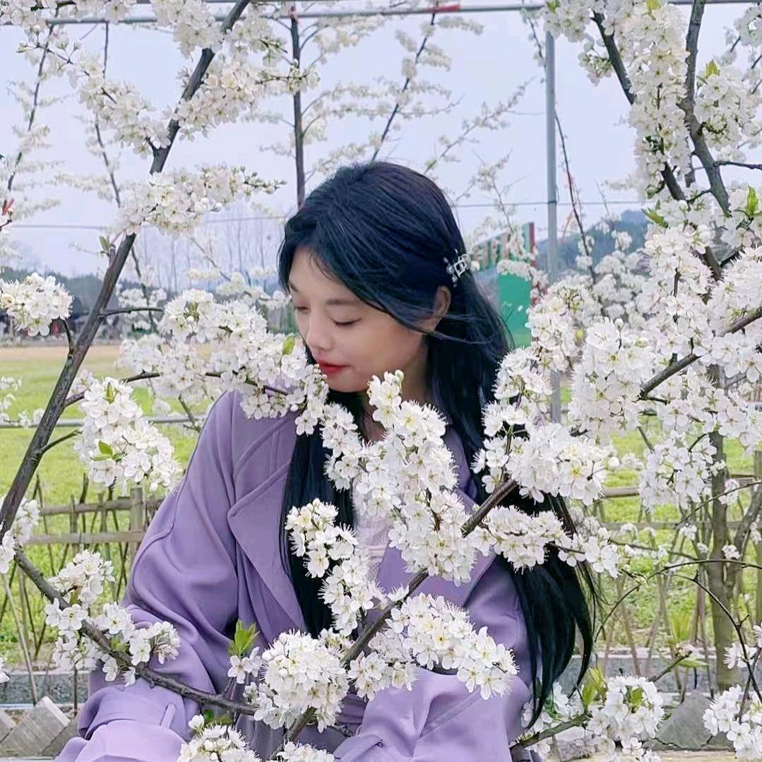 山农菇娘
