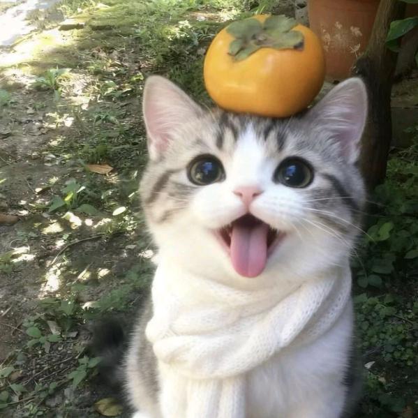 八方来财平平安安