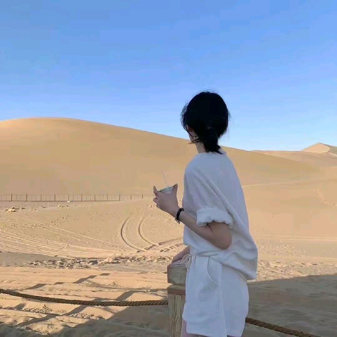北方狼🐺