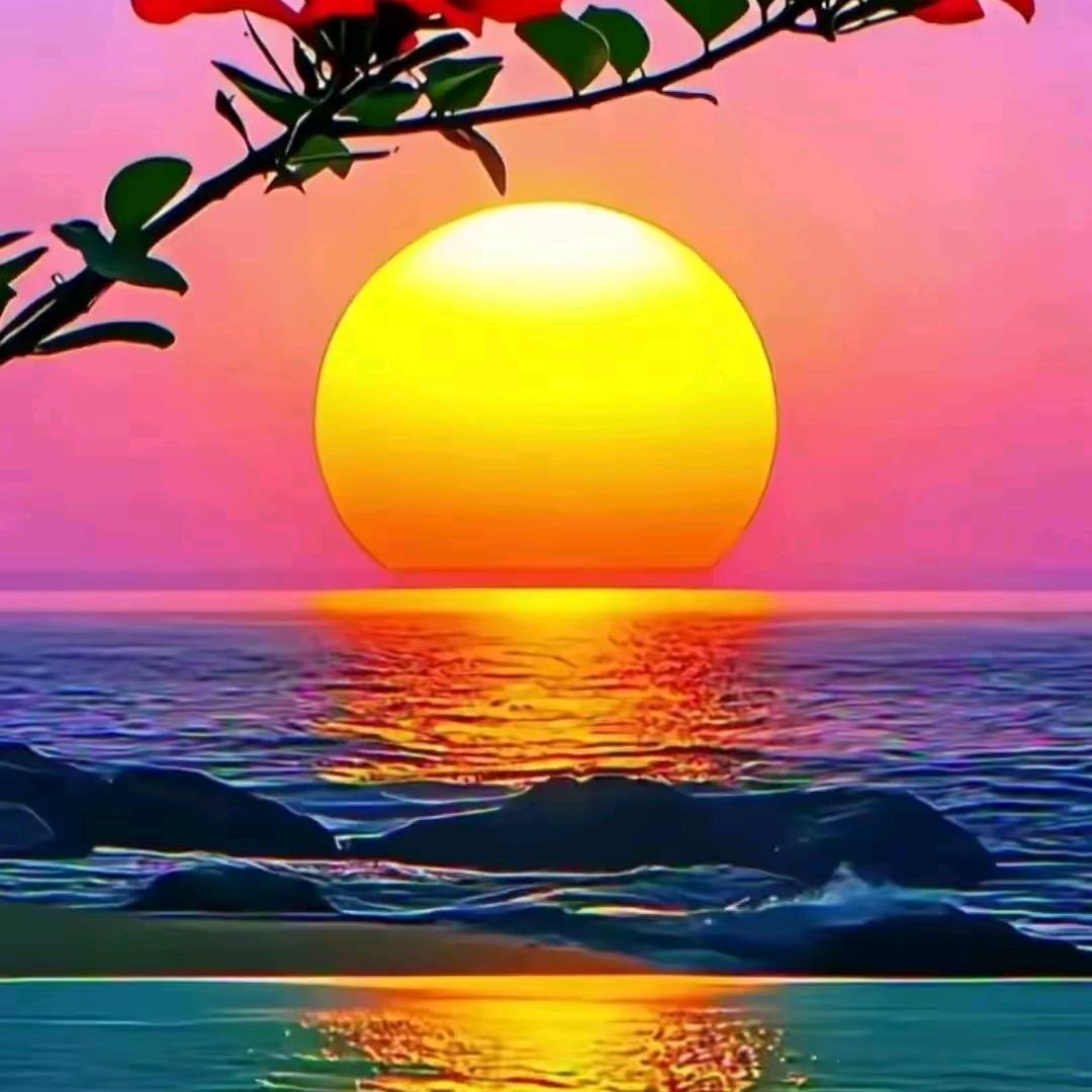 阳光妈妈🌹🌹