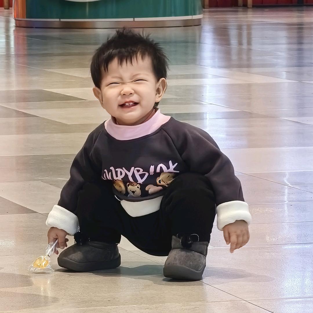 搞笑动物园