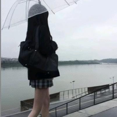 呆呆🐟