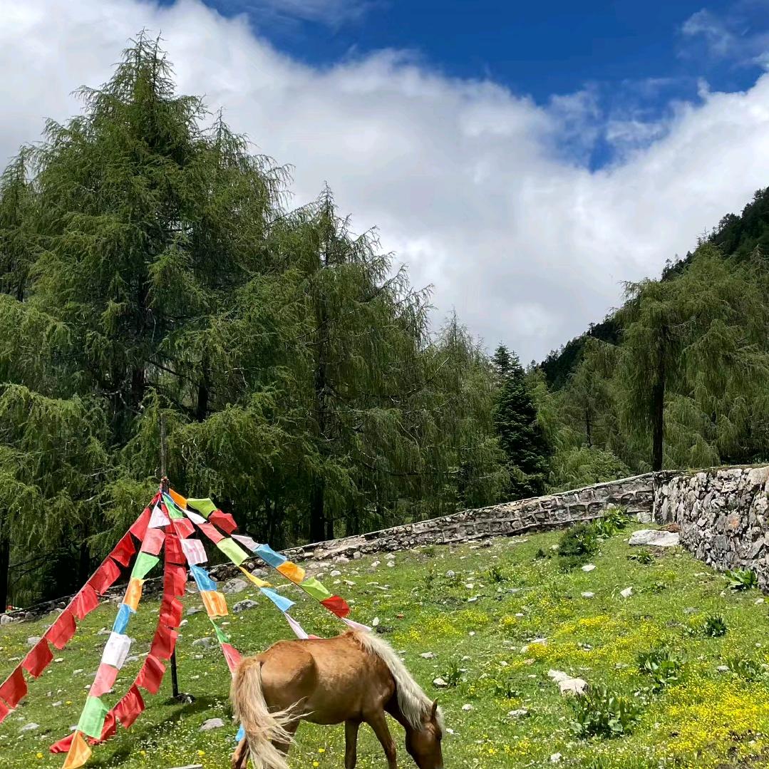 嘻嘻哈哈😊