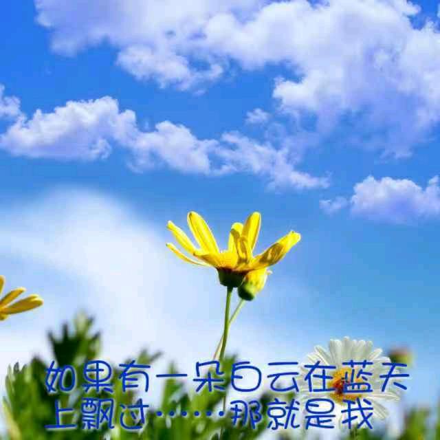 云海头像