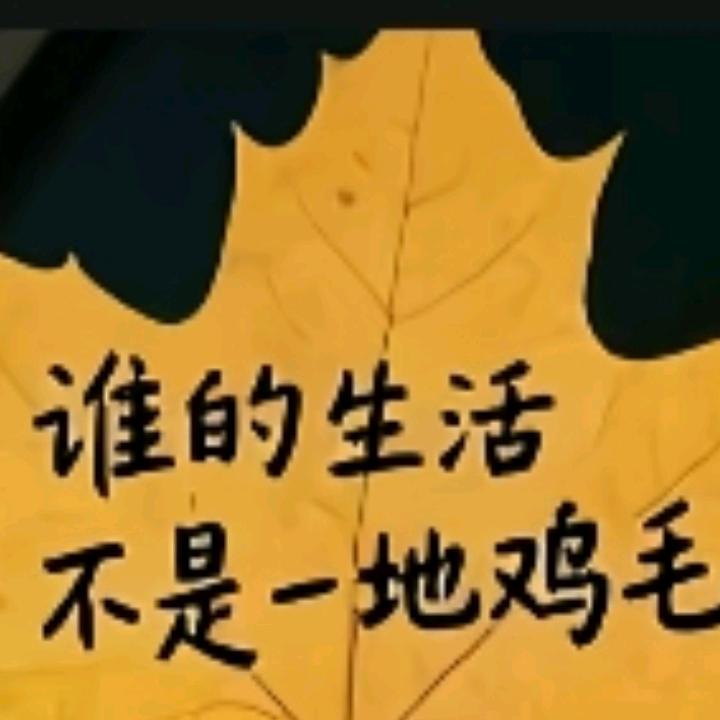 刘蓉蓉