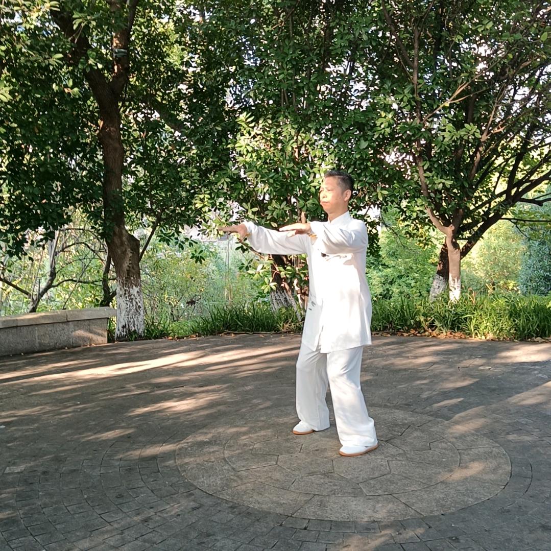 妙太极