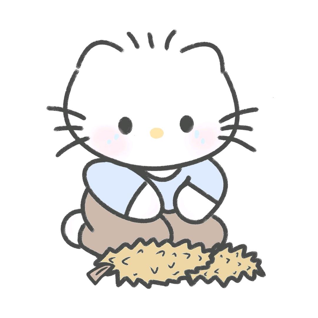 猪脚饭杀手