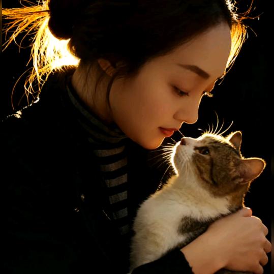 夏家五妹～燕子