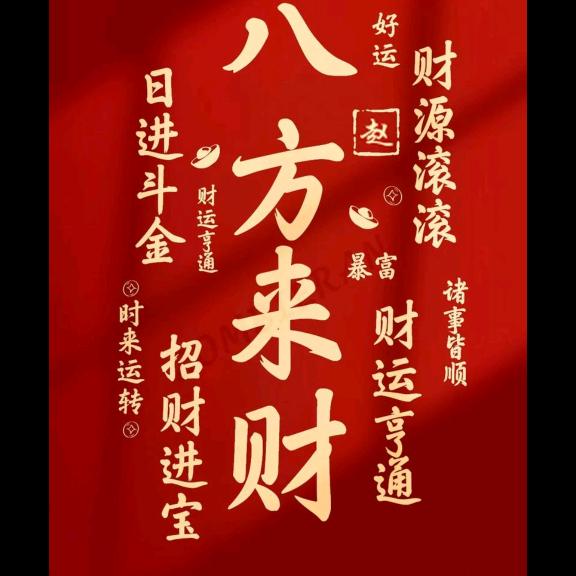 高飞111