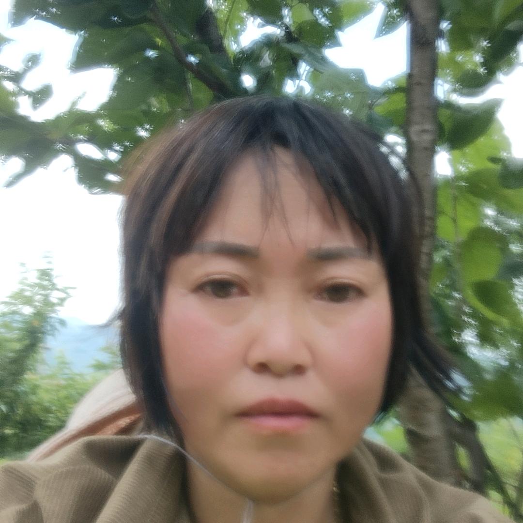 单身周琴