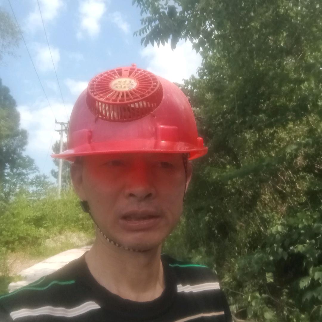招财进宝