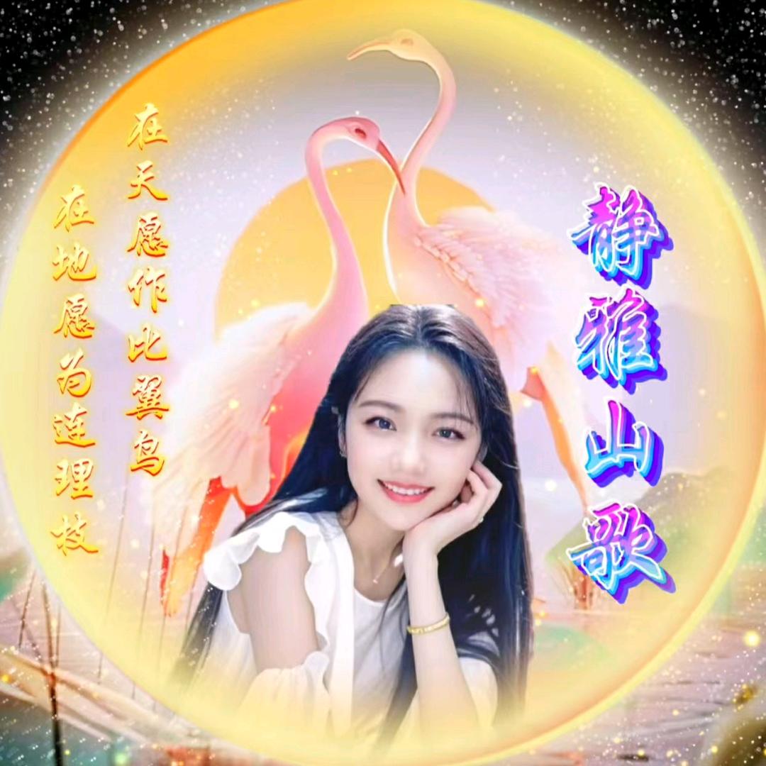 💕᭄逍遥红尘ꦿ静雅小号+滚屏高手᭄🕊