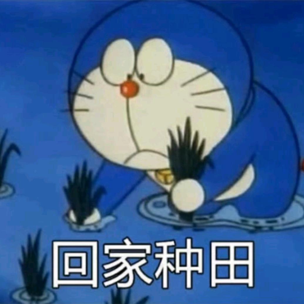 自由的牛马