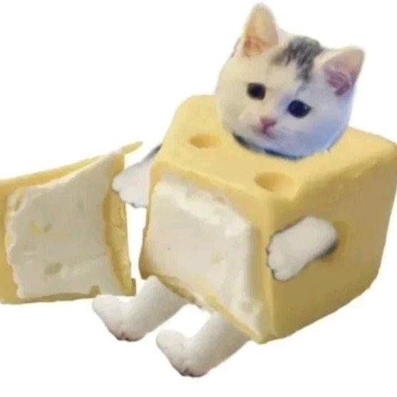 H7L