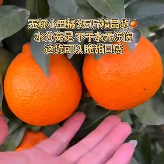 冷静自然醒