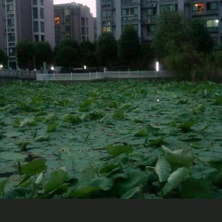 李