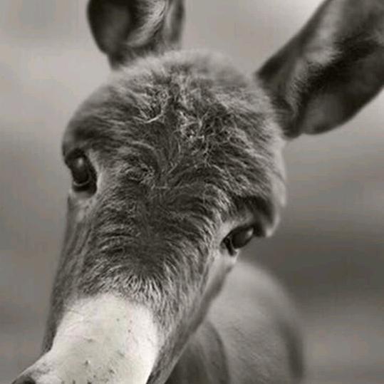 ℳ๓₯㎕想你づ