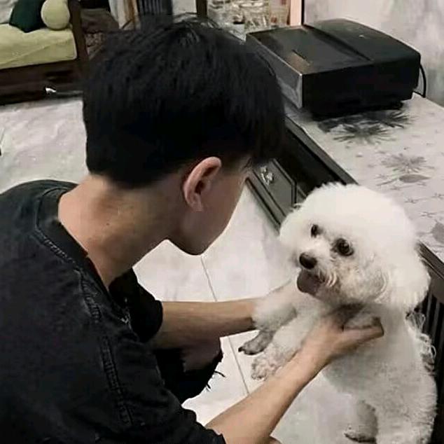 银杏不是树
