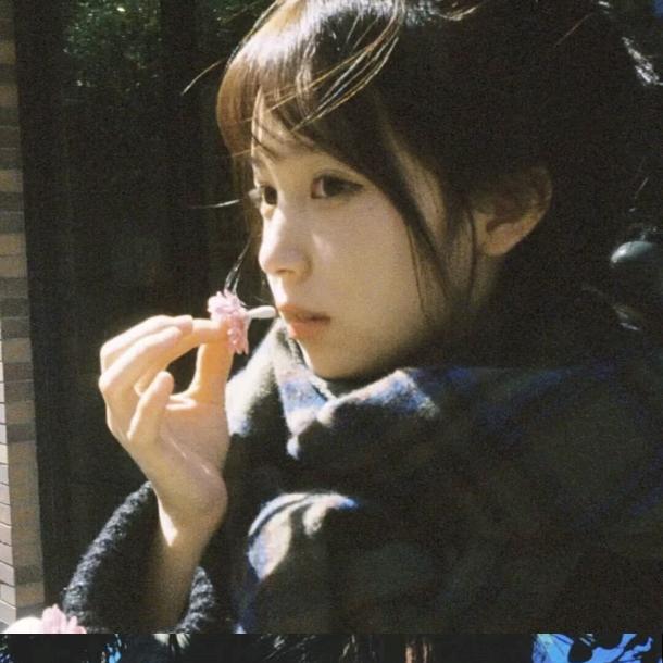 茶茶-