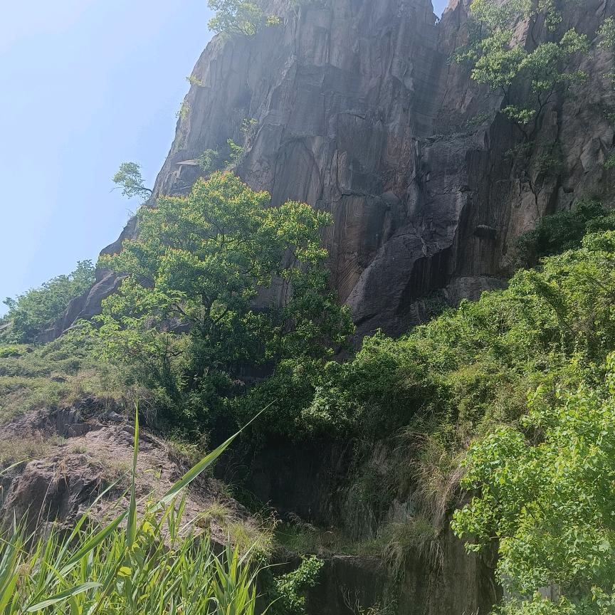 明天会更好