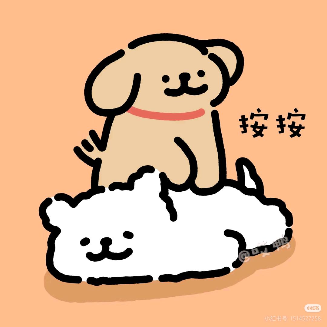 甜茶girl