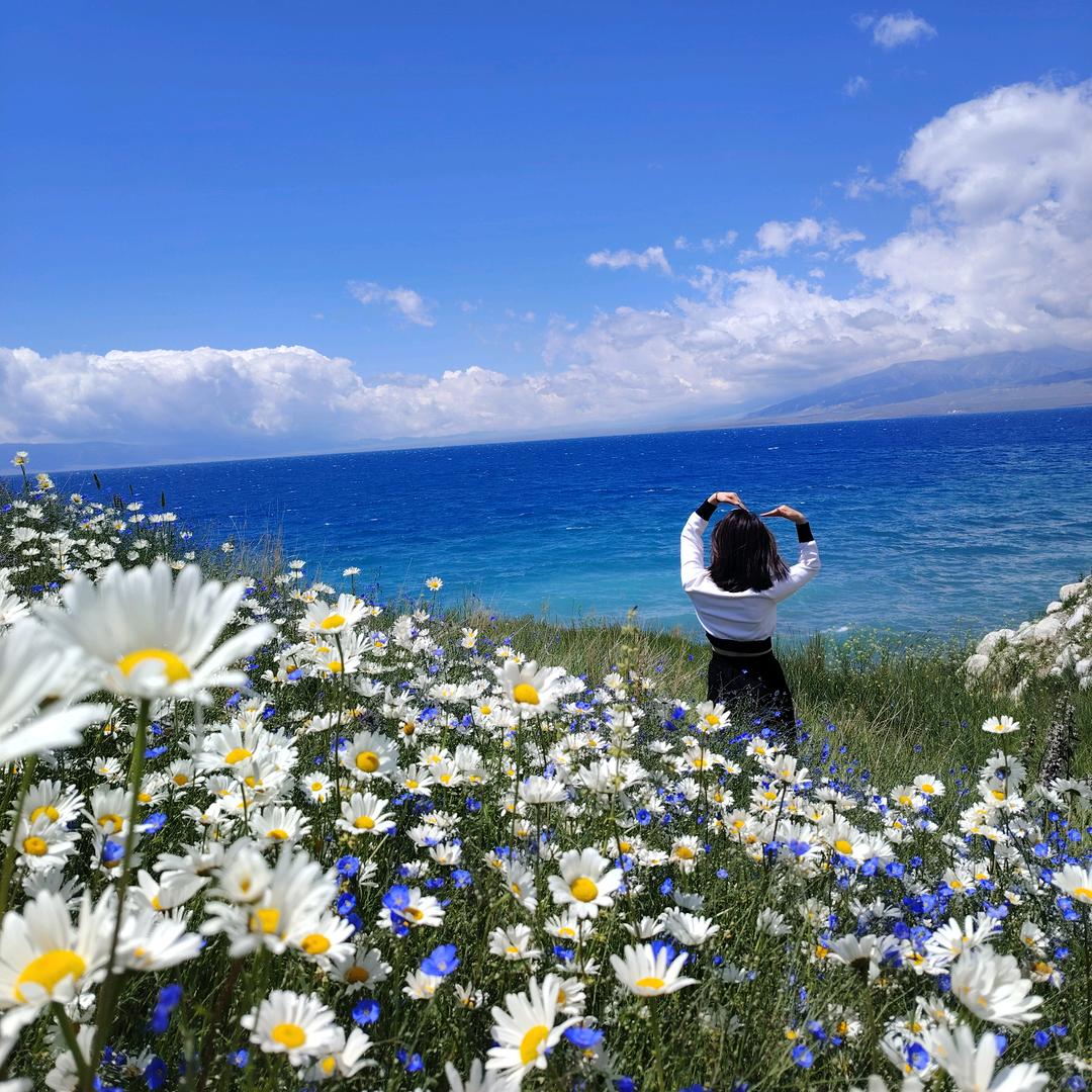 暴走小仙菌