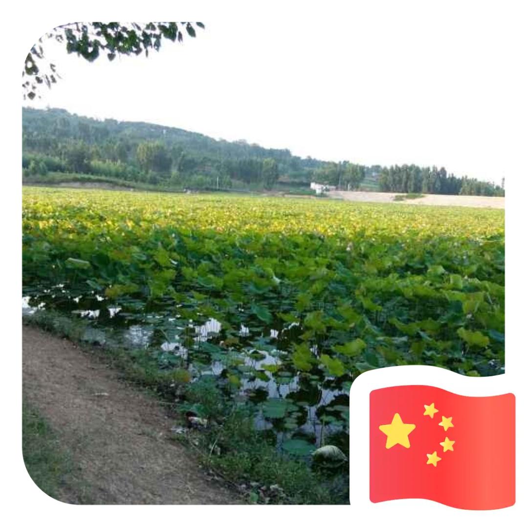 亲亲宝贝
