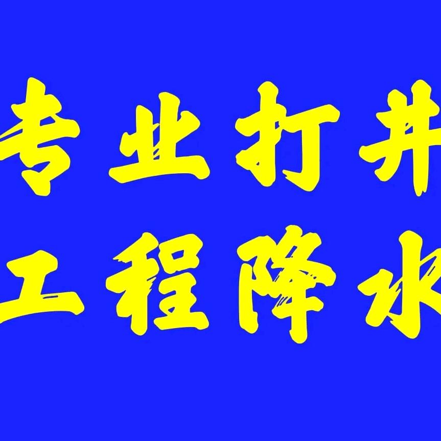 专业打井打桩