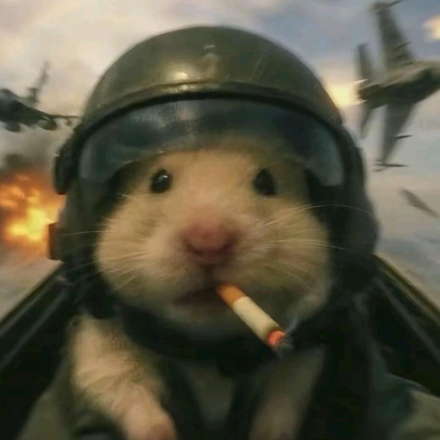 小青（三角洲行动）