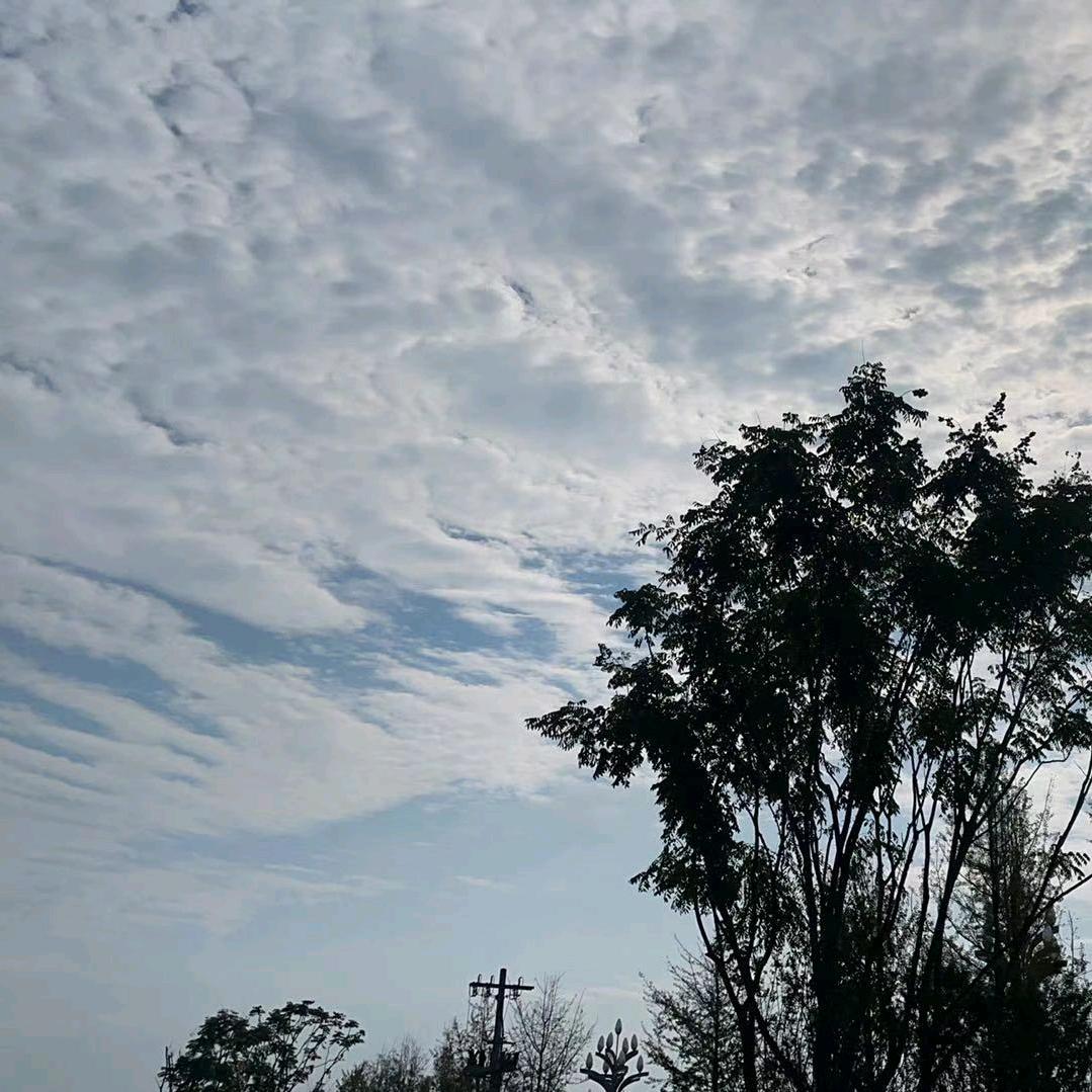 顺风顺水