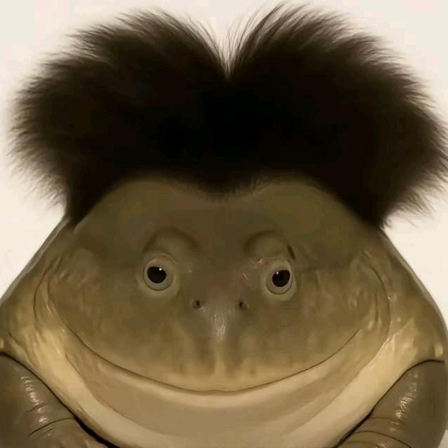 喵喵喵喵