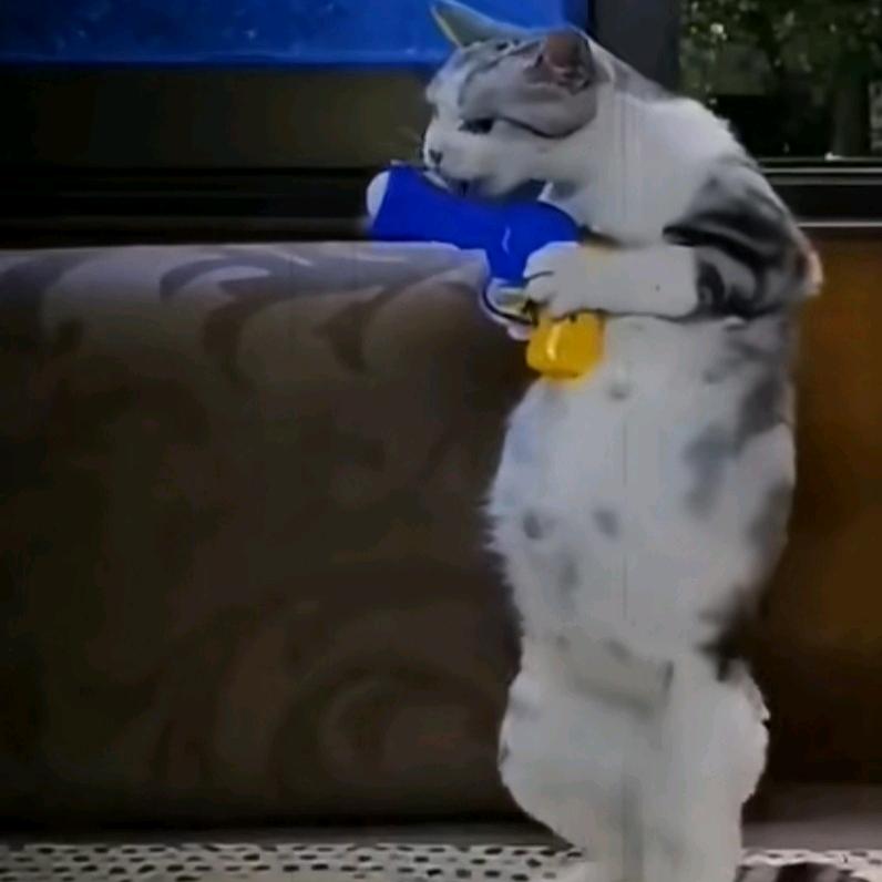 哆啦B梦