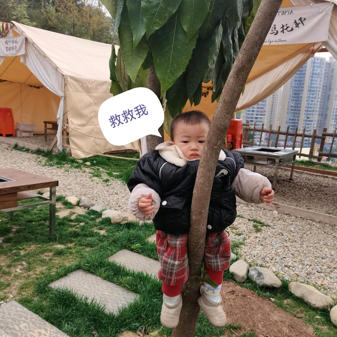 杨杨一生