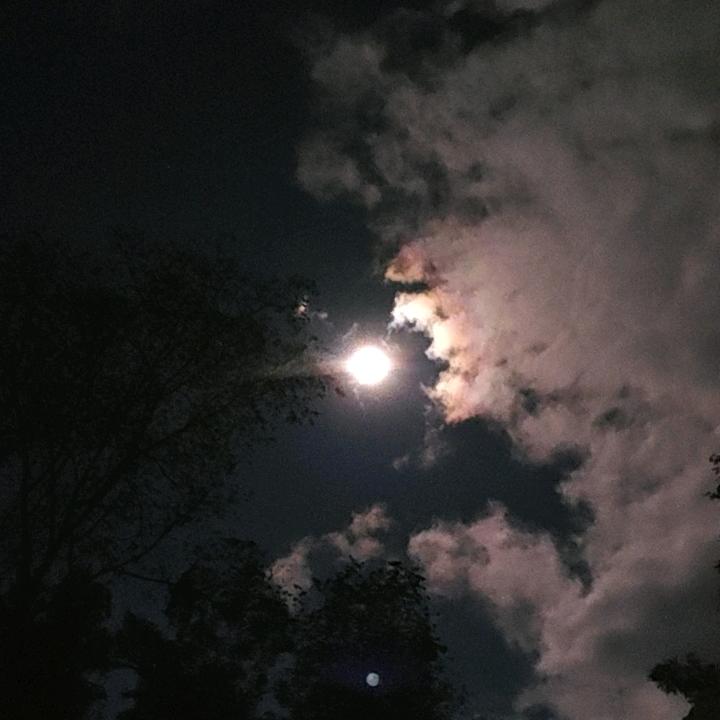 顺其自然 @